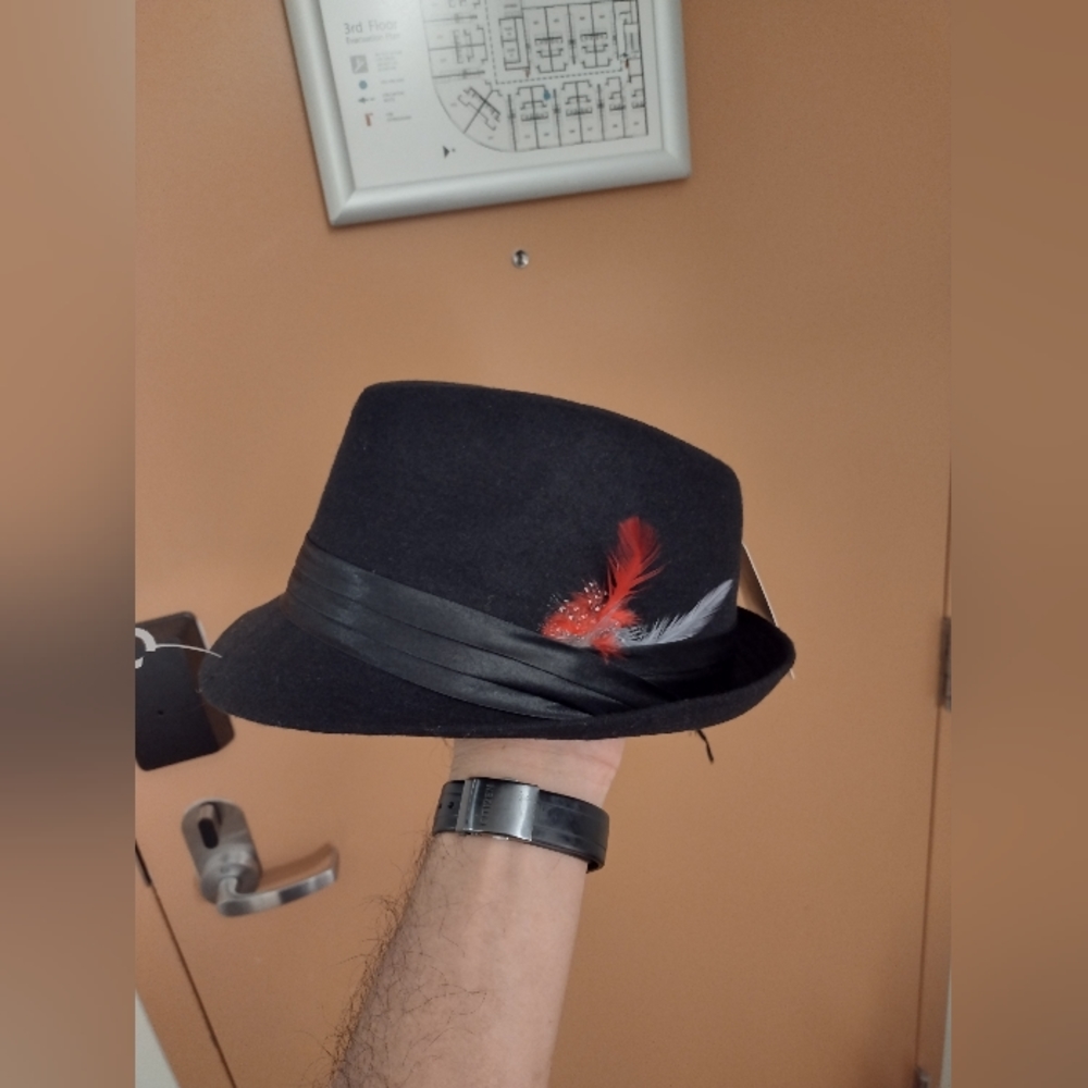 Simplicity hat